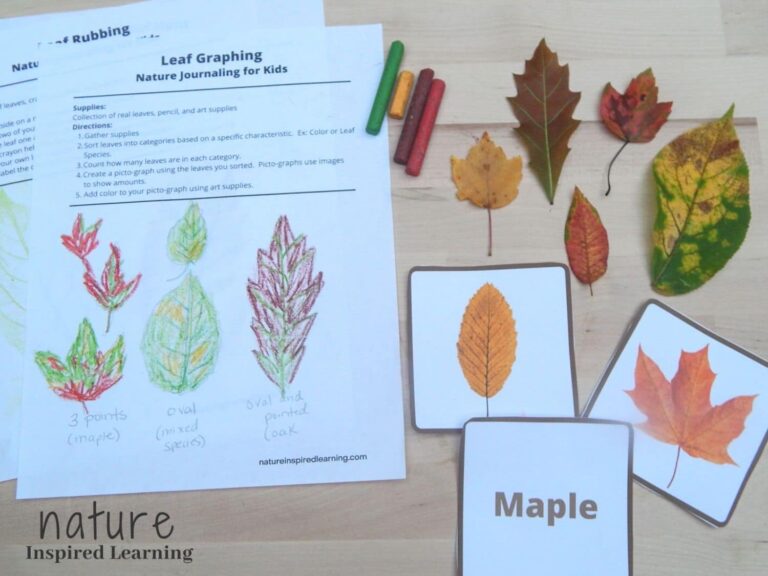 Fall Leaves Cut Out Printable: A Creative Guide to Autumnal Decor and Activities