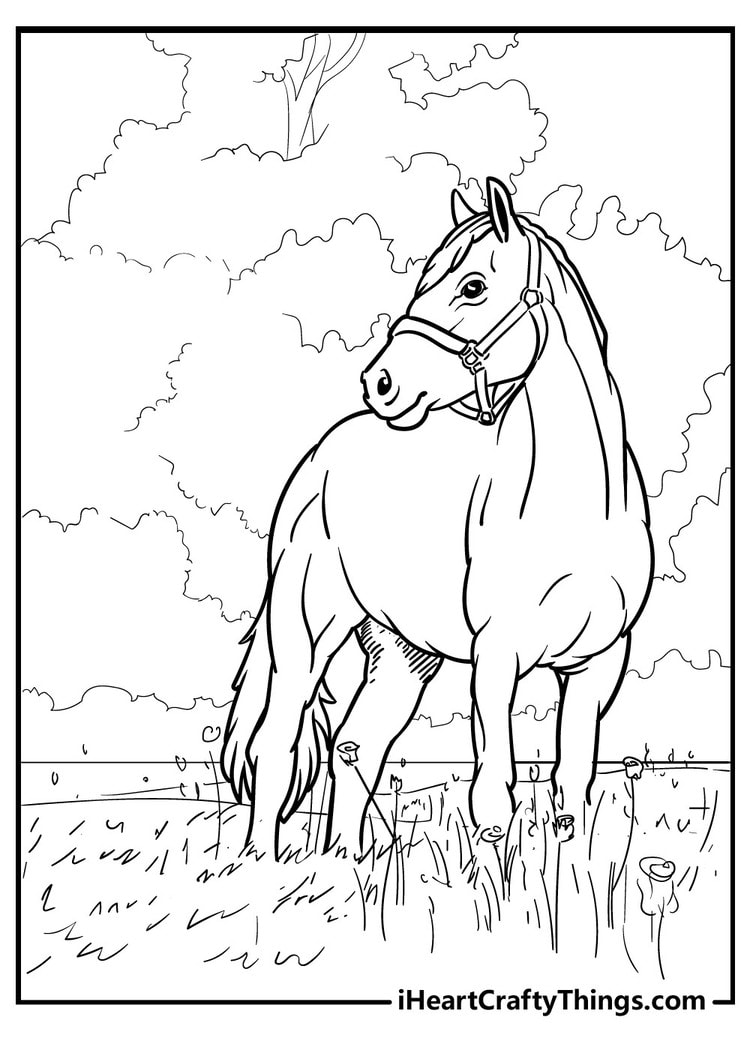 Horse Coloring Sheets Free Printable: A Comprehensive Guide for Equine Enthusiasts