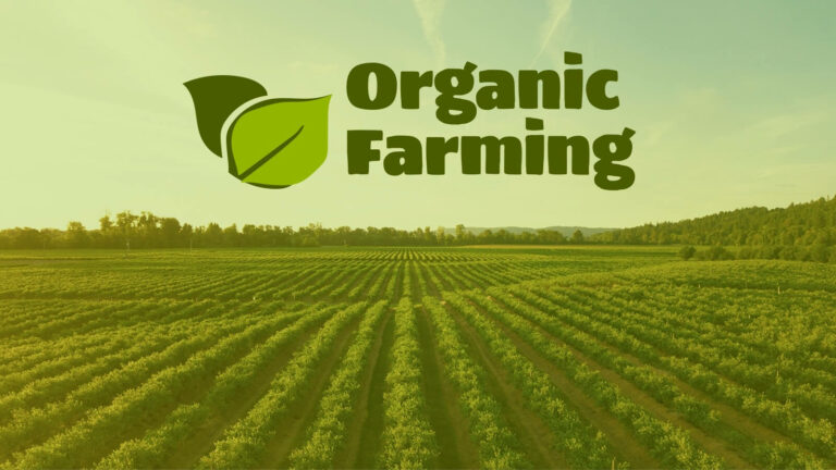 Organic Farming PPT Templates: Free Download for Enhanced Presentations