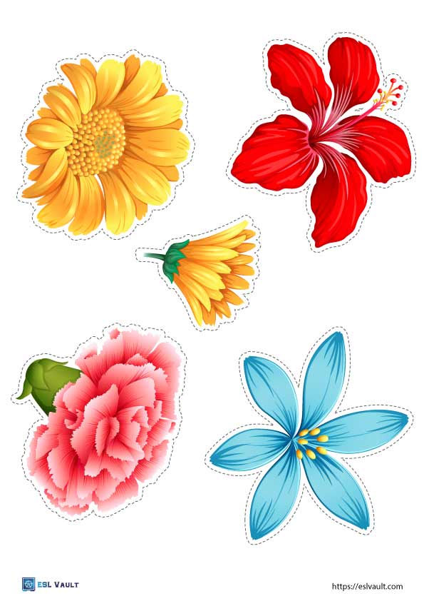 Printable Pictures Of Flowers: A Beautiful And Versatile Resource